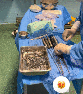 نمونه ابدومینوپلاستی دکتر حسین رضویان