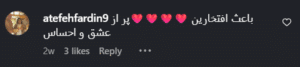 نظر کاربر اینستاگرام (دکتر عطیه مهدی زاده)